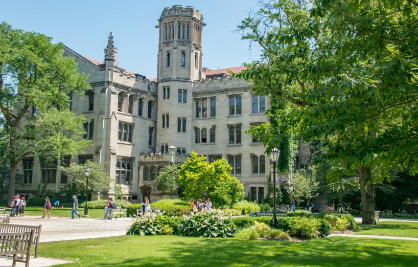 Quad in the summer